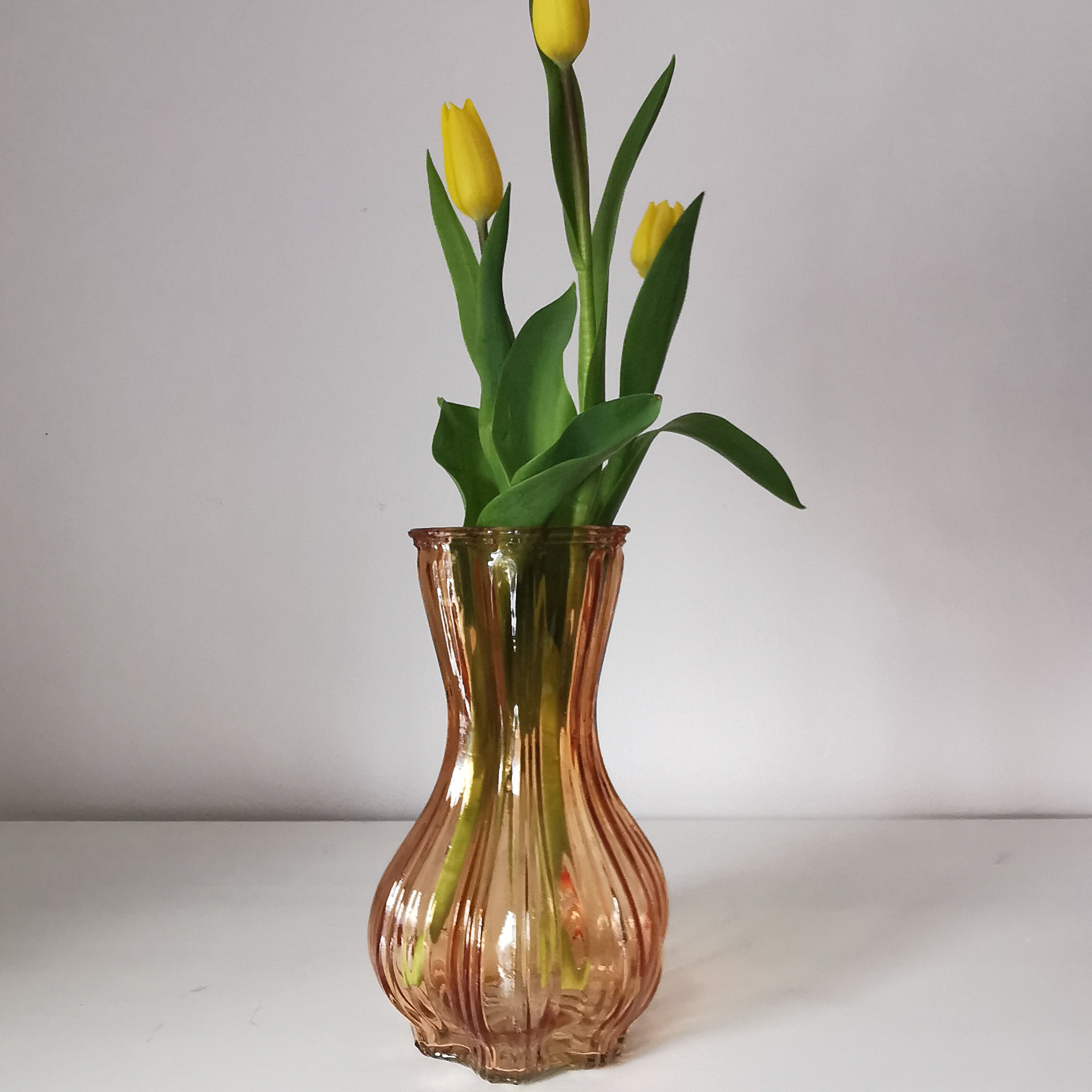 Colourful Glass Vase