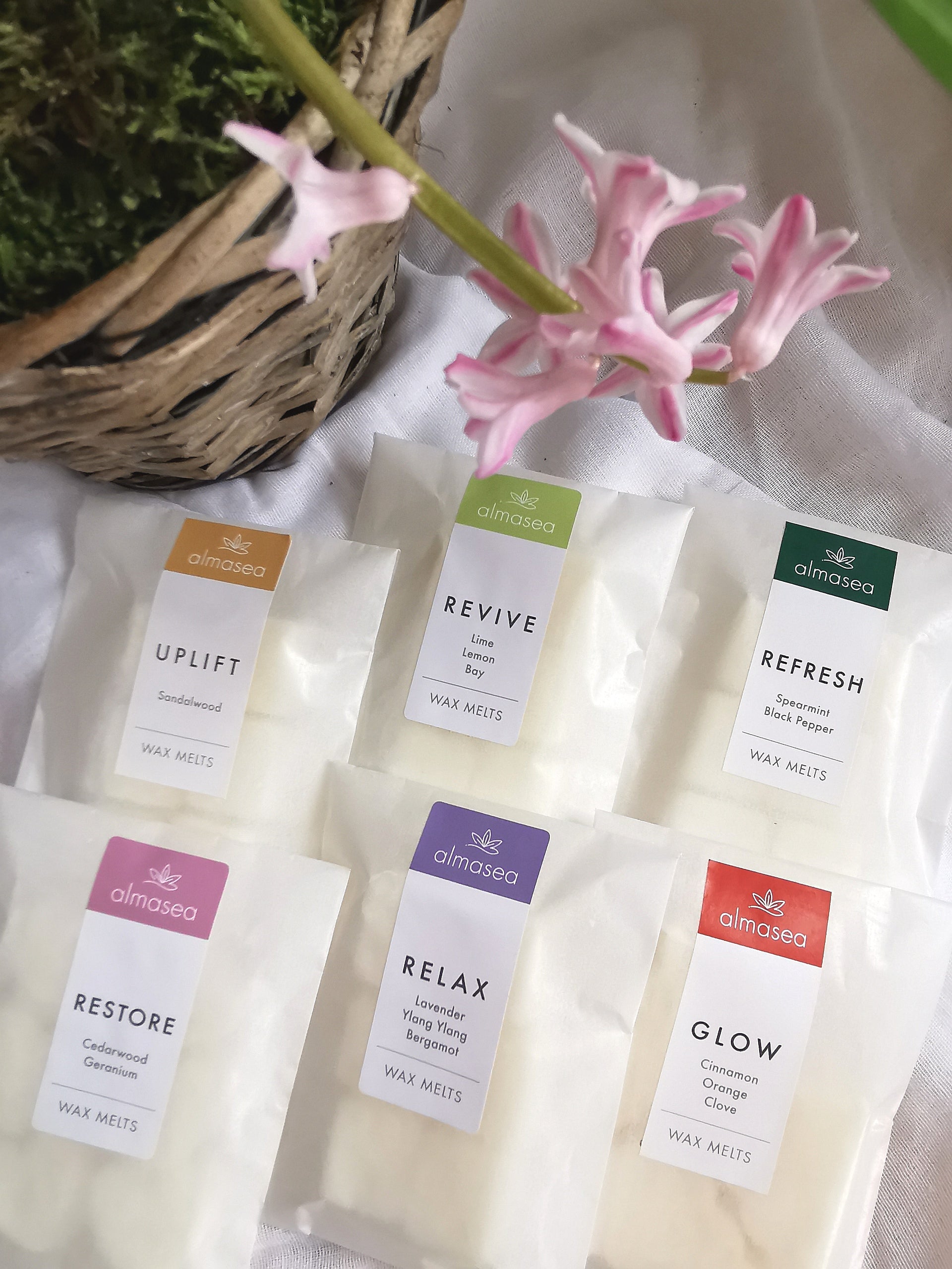 Aromatherapy Wax Melts Set of 6